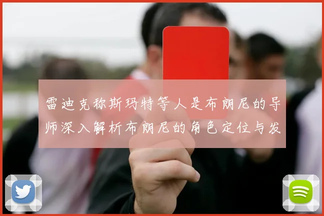 雷迪克称斯玛特等人是布朗尼的导师深入解析布朗尼的角色定位与发展方向